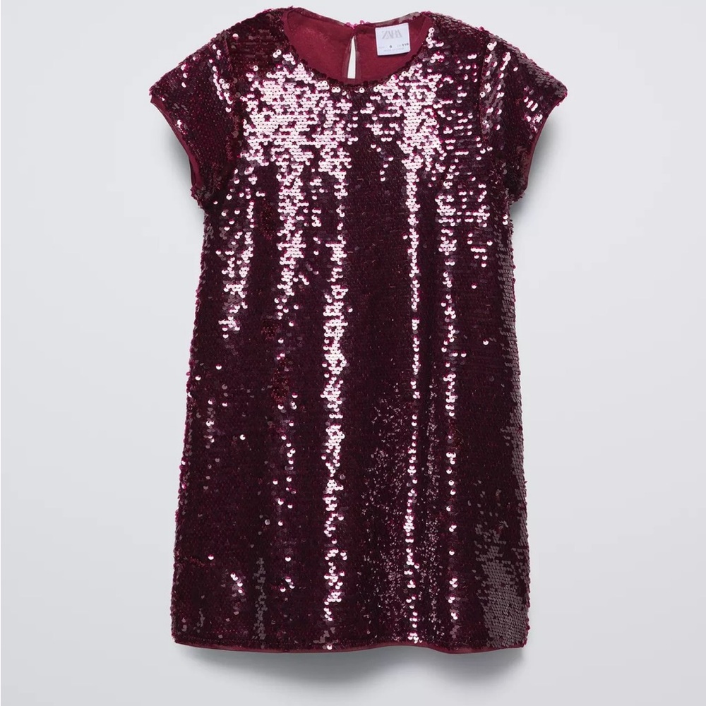 Zara Burgundy Sequin Dress
